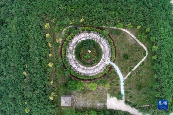 80445485b1d1059bd13bed7d1b81ddc1.png 80445485b1d1059bd13bed7d1b81ddc1.png